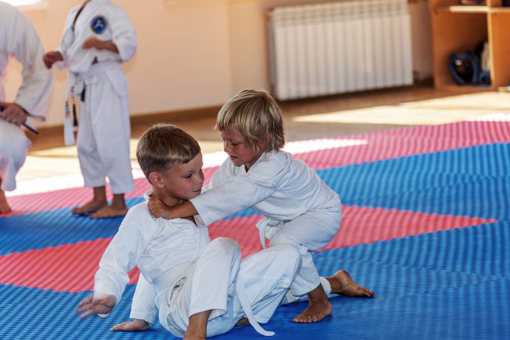 Martial arts classes for kids